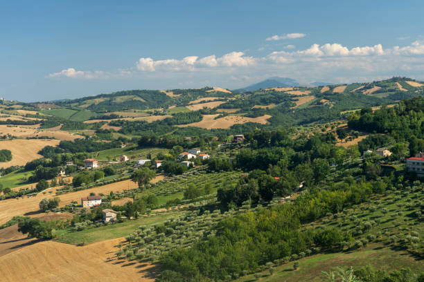 Rural landscape near Mogliano, Marches, Italy Rural landscape at summer near Mogliano, Macerata, Marches, Italy macerata italy stock pictures, royalty-free photos & images