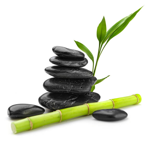 istock black stones  and bamboo brunch on white 1211976186