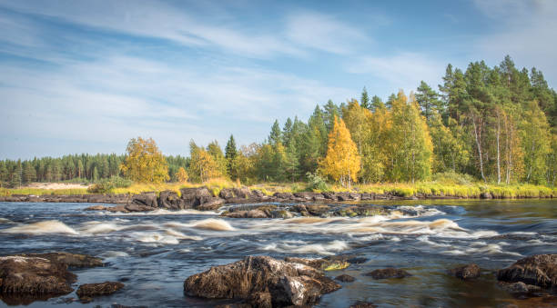 istock Beautiful view of the river with forest. 1211978873
