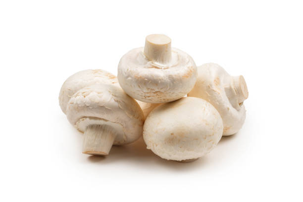 istock Champignon mushroom isolated on white background. 1211980219
