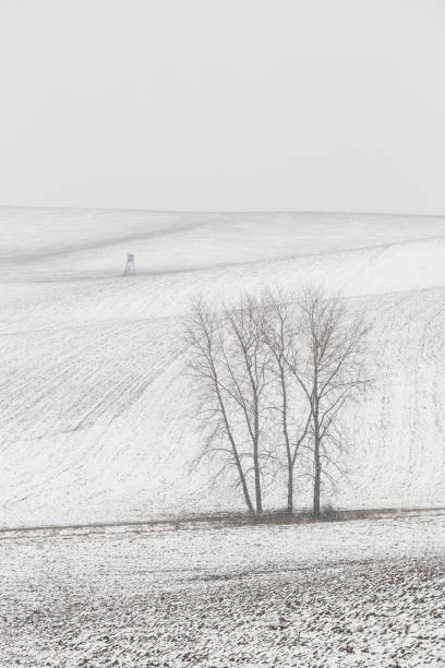 istock Turiec region 1211981144