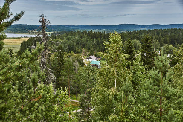 istock Panorama of Karelian nature from a height 1211987455
