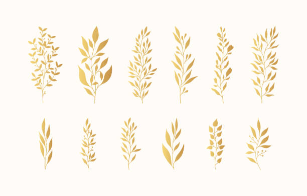Set of golden floral branches and herbs silhouettes. Elegant botanic elements for wedding. Vector isolated spring gold flourish borders. vector art illustration