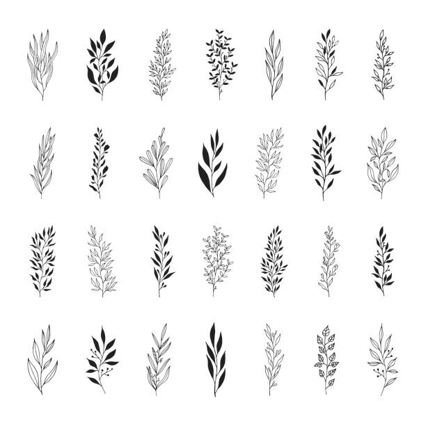 Rustic Embellishment Graphics 510+ Rustic Embellishments Illustrations, Royalty-Free Vector Graphics ...