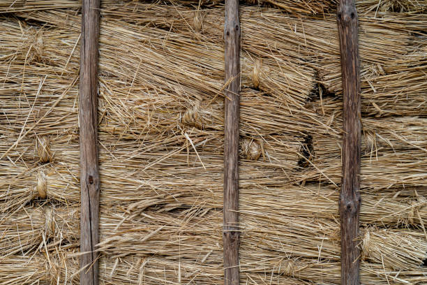 istock Wall made of straw. 1211989423