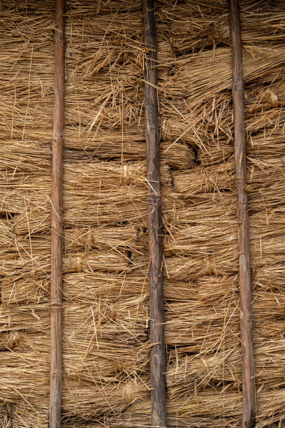 istock Wall made of straw. 1211989564