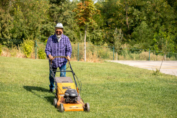 istock Senior gardener mowing 1211990718