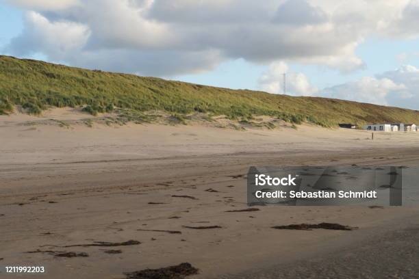 Dunes At The Beach Of Bloemendaal Aan Zee Holland Netherlands Stock Photo - Download Image Now