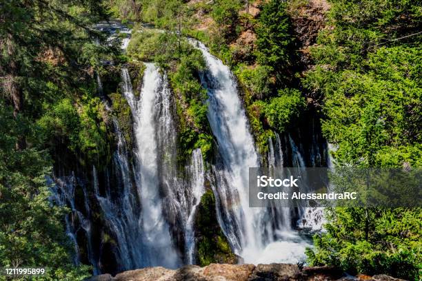 Mcarthurburney Falls High Angle View Stock Photo - Download Image Now - Burney Falls, Backgrounds, Beauty