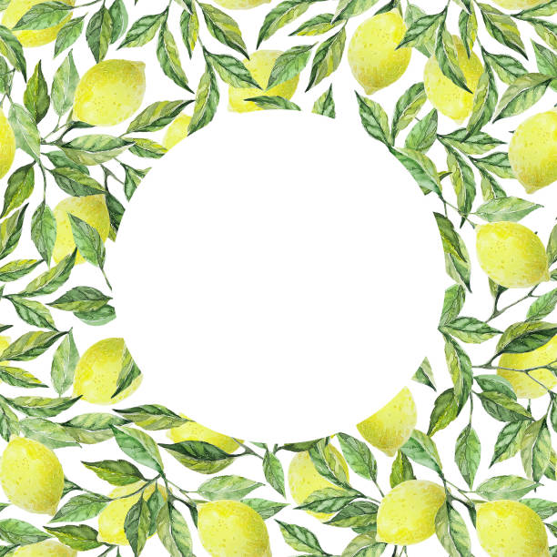 istock lemons with branches frame on white background. Watercolor illustration. Design for card, scrapbooking, invitations, congratulations, photo 1211998170