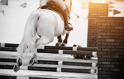 The gray horse overcomes an obstacle. Equestrian sport, jumping.