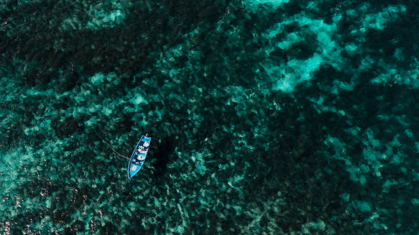 istock View of Le Morne, Mauritius 1212013578