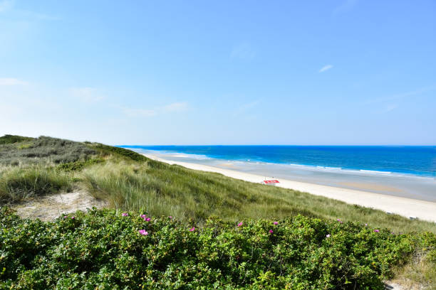 istock Beach section on Sylt at low tide with dunes and the North Sea 1212014458