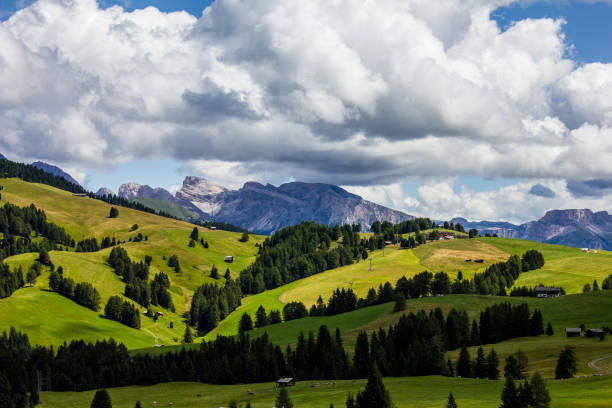 istock Seiser Alm Alpe of Siusi 1212014640