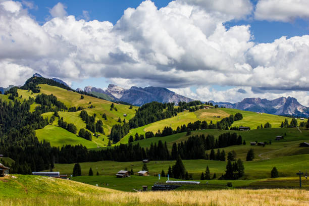 istock Alp of Siusi Seiser Alm 1212014711