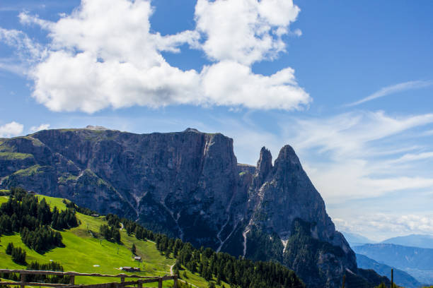istock Alp of Siusi Seiser Alm 1212014905