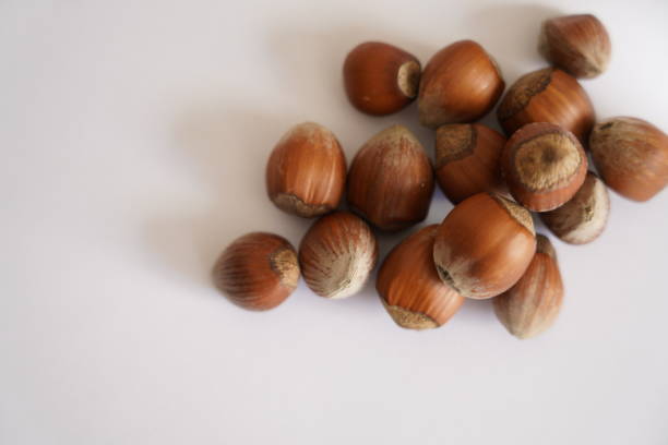 istock dried nuts dried fruits organic 1212015752
