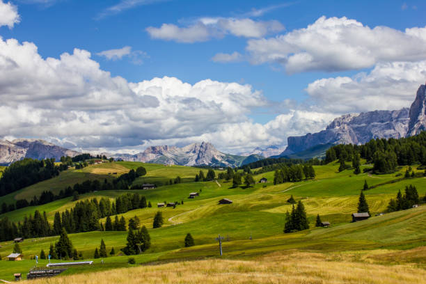 istock Alp of Siusi Seiser Alm 1212017198