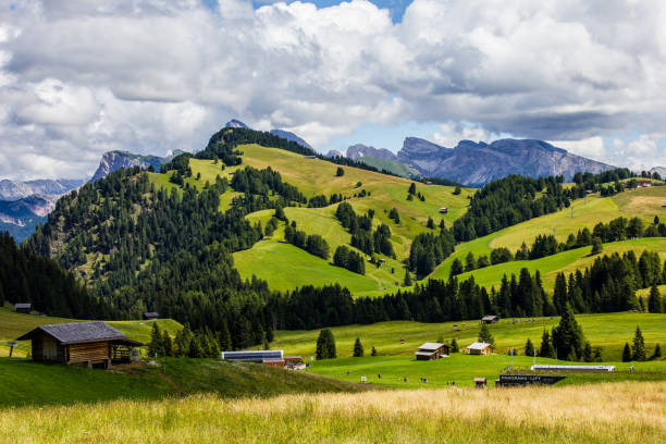 istock Seiser Alm Alpe of Siusi 1212019012