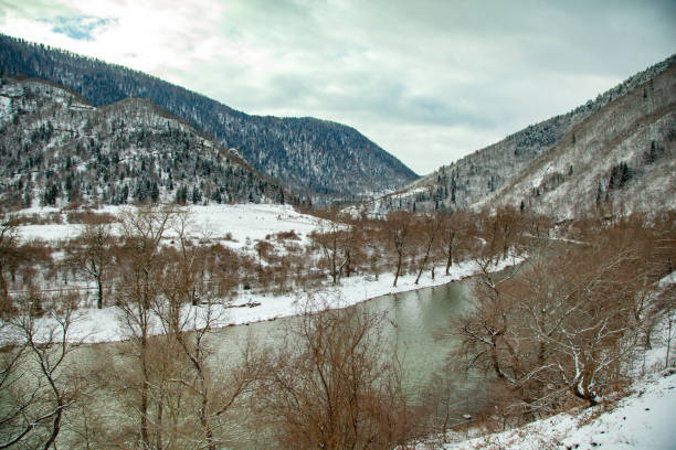 istock lake with forest in winter background 1212019345