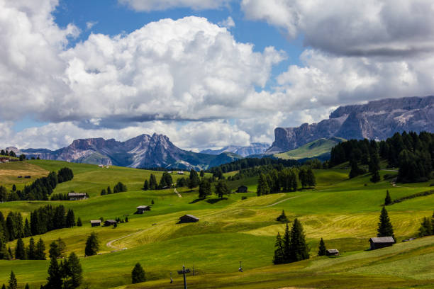 istock Alp of Siusi Seiser Alm 1212021249