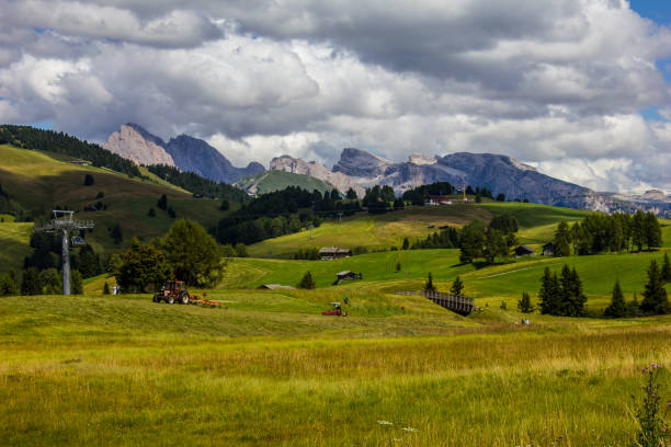 istock Alp of Siusi Seiser Alm 1212021483