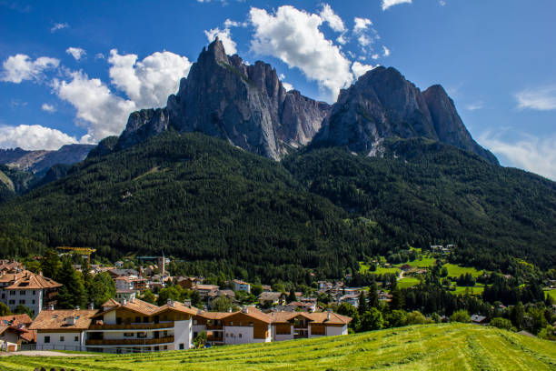 istock Alp of Siusi Seiser Alm 1212022492