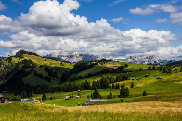istock Alp of Siusi Seiser Alm 1212022593