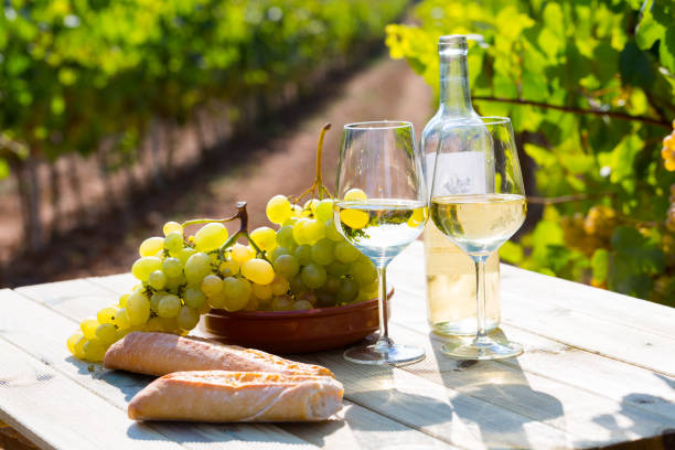 istock Still life with  white wine, grapes and fresh bread in vineyards 1212024052