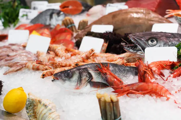 Assortment of fresh seafoods lying on ice in showcase of fish restaurant