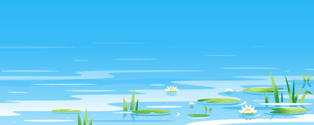 ilustrações de stock, clip art, desenhos animados e ícones de water surface with water lilies - riverbank