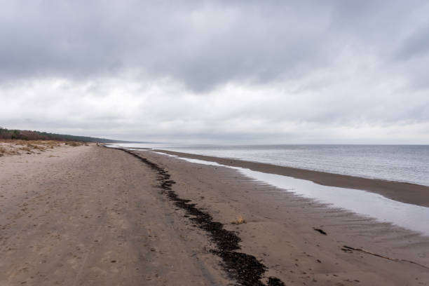 istock Baltic Sea Beach with Waves in the Winter 1212024731
