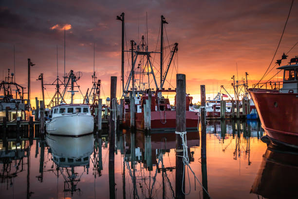 Sunrise illuminates the fishing fleet at Viking Village stock photo