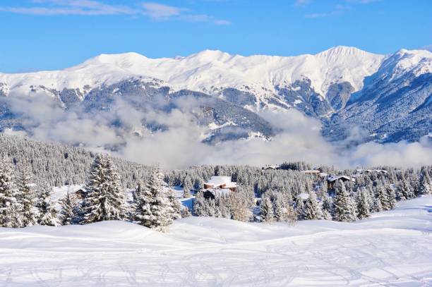 istock Ski resort with ski slope and snowy forest 1212029311