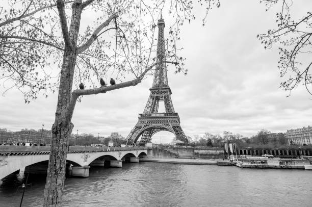 istock international symbol of Paris, Eiffel Tower 1212031311
