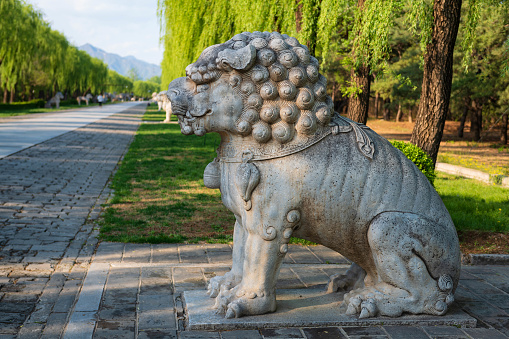 Stone lion sculptures on both sides of the Shinto in the Ming Tombs of Beijing