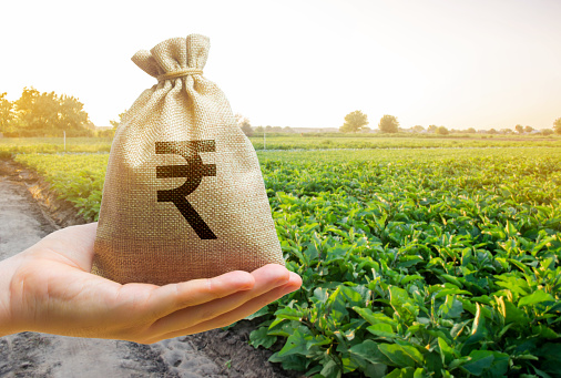 Money bag on the background of agricultural crops in the hand of the farmer. Agricultural startups. Profit from agribusiness. Lending and subsidizing farmers. Rupee, rupiah. Grants and support.