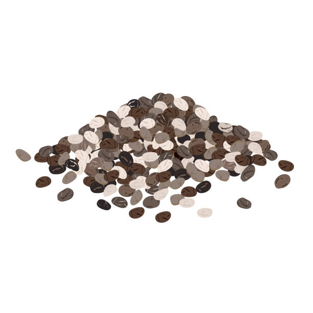 Chia seeds isolated on white background. Vector illustration Chia seeds isolated on white background. Realistic vector illustration chia seed stock illustrations