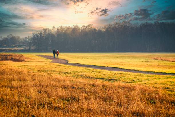 Walk in a surreal landscape