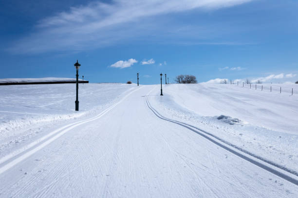istock Landscape after Freezing Rain Storm 1212036101