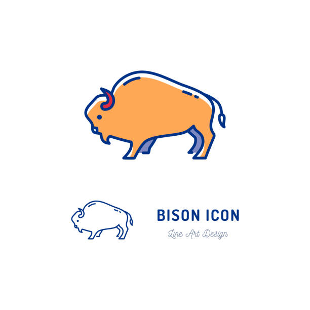 ilustrações de stock, clip art, desenhos animados e ícones de bison icon. thin line art colorful bull sign. vector flat icon - bisonte