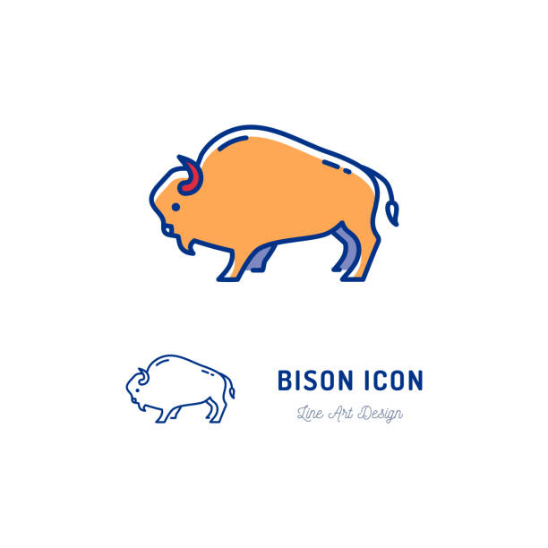 Bison icon. Thin line art colorful Bull sign. Vector flat icon Bison icon. Thin line art colorful Bull sign. Vector flat illustration african buffalo stock illustrations