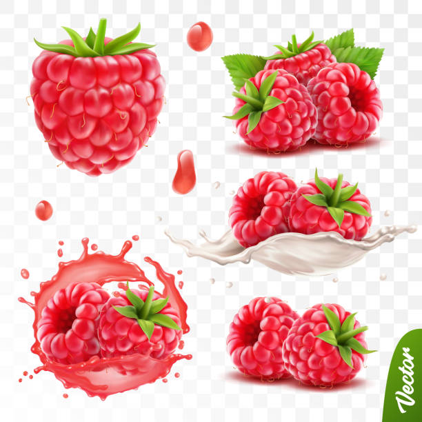 illustrations, cliparts, dessins animés et icônes de 3d réaliste transparent ensemble de vecteurs isolés transparents, entier et tranche de framboise, framboise dans une éclaboussure de jus avec des gouttes, framboise dans une éclaboussure de lait ou de yogourt - framboise