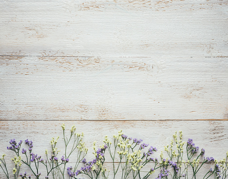 Dry flowers on white wooden planks. View from above. Flat lay. Copy space.