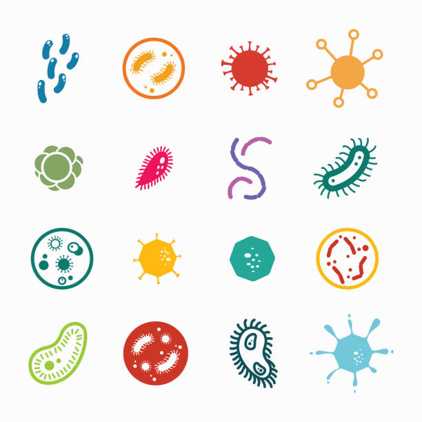 Colourful different type of viruses Vector illustration of colourful different type of magnified viruses bacterium stock illustrations