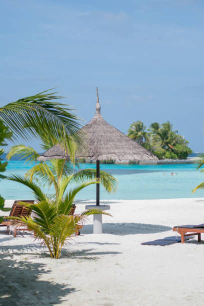 istock Chairs And Umbrella In Maldives Beach 1212043756