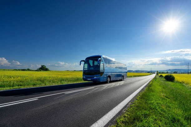 синий автобус едет по асфальтовой дороге между желтыми цветущими полями рапса под сияющим солнцем в сельской местности - travel vacations road highway стоковые фото и изображения