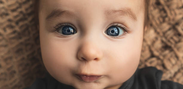 The adorable baby boy with blue eyes stock photo