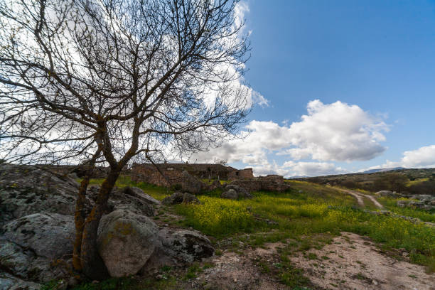 istock Landscape of the Montes de Toledo. 1212054362