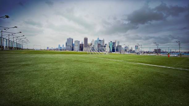Lower Manhattan resting on Artificial Grass/Soccer Field